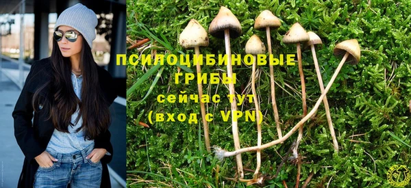 первитин Балахна
