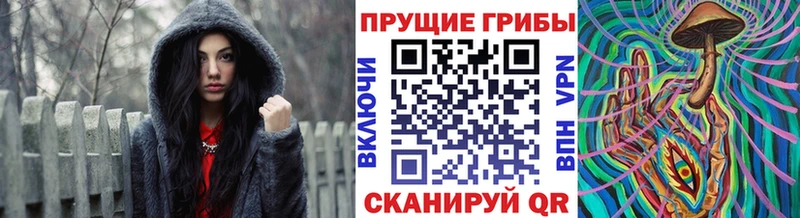 Галлюциногенные грибы Psilocybine cubensis  Макаров 